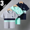 Boys 3-Piece Polo Shirt Set (1-10 Years)